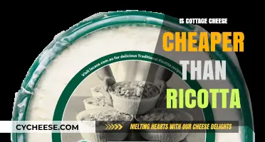 Cottage Cheese vs. Ricotta: Which Cheaper Option Wins Your Budget?