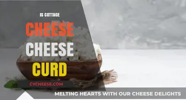 Cottage Cheese vs. Cheese Curds: Understanding the Dairy Difference