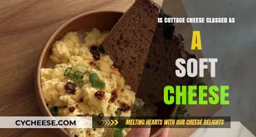 Is Cottage Cheese a Soft Cheese? Exploring Its Classification
