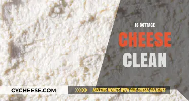 Is Cottage Cheese Clean? Uncovering the Truth About Its Purity