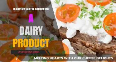 Is Cottage Cheese Dairy? Exploring Its Classification and Nutritional Value