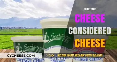 Is Cottage Cheese Truly Cheese? Unraveling the Dairy Debate