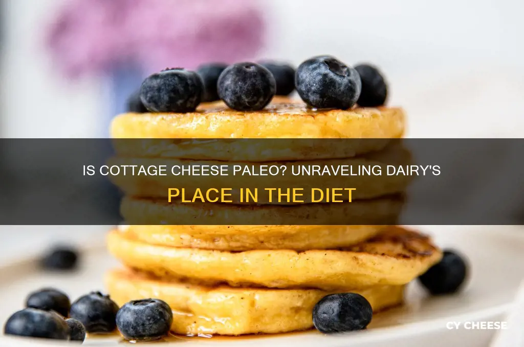 is cottage cheese considered paleo