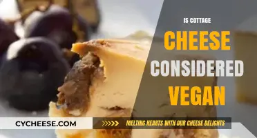 Is Cottage Cheese Vegan? Exploring Dairy-Free Alternatives and Ethics
