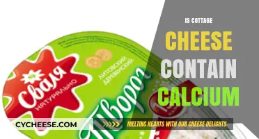 Does Cottage Cheese Boost Your Calcium Intake? Find Out Here