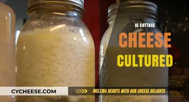 Is Cottage Cheese Cultured? Unraveling the Fermentation Mystery
