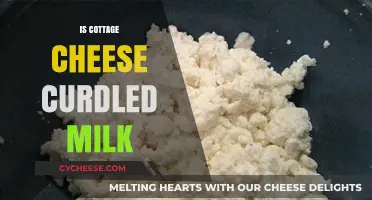 Is Cottage Cheese Curdled Milk? Unraveling the Dairy Mystery
