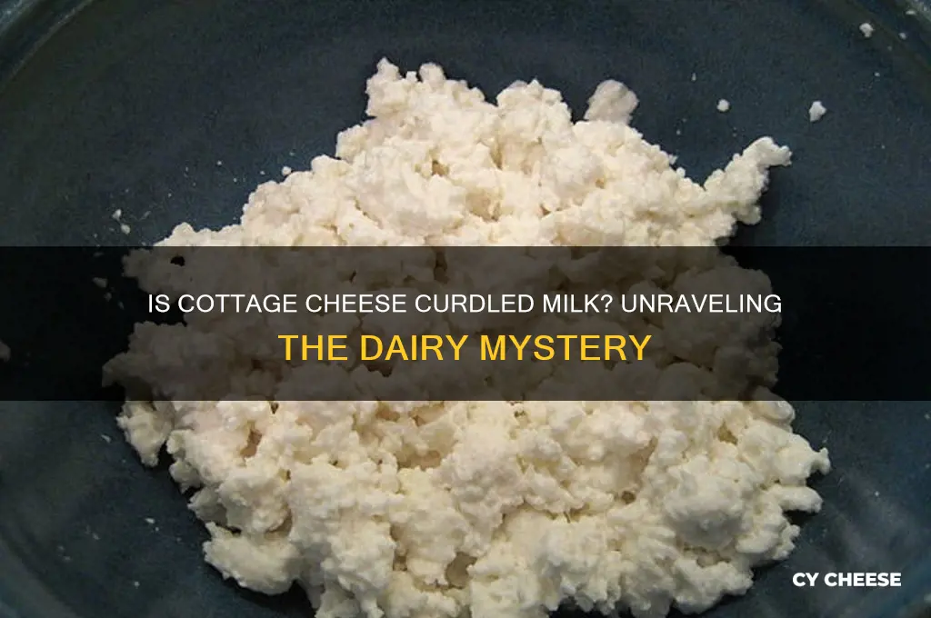 is cottage cheese curdled milk