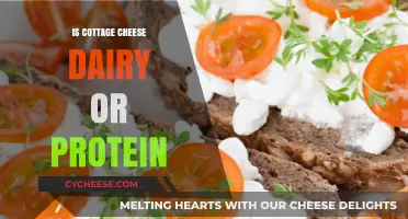 Cottage Cheese: Dairy Delight or Protein Powerhouse? Unraveling the Truth
