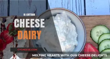 Is Cottage Cheese Dairy? Unraveling the Truth About This Cheesy Delight