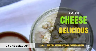 Is Cottage Cheese Delicious? Exploring Its Taste and Appeal