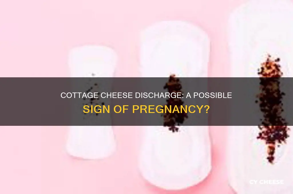 is cottage cheese discharge a sign of pregnancy