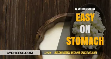 Is Cottage Cheese Gentle on Your Stomach? A Digestive Guide