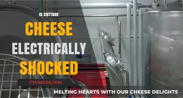 Is Cottage Cheese Electrically Shocked? Unraveling the Dairy Production Mystery