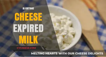 Is Cottage Cheese Expired Milk? Unraveling the Dairy Mystery