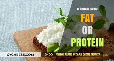 Cottage Cheese: Unraveling Its Fat vs. Protein Content for Health Benefits
