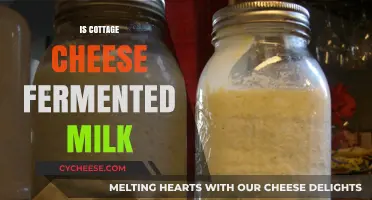 Is Cottage Cheese Fermented Milk? Unraveling the Dairy Mystery