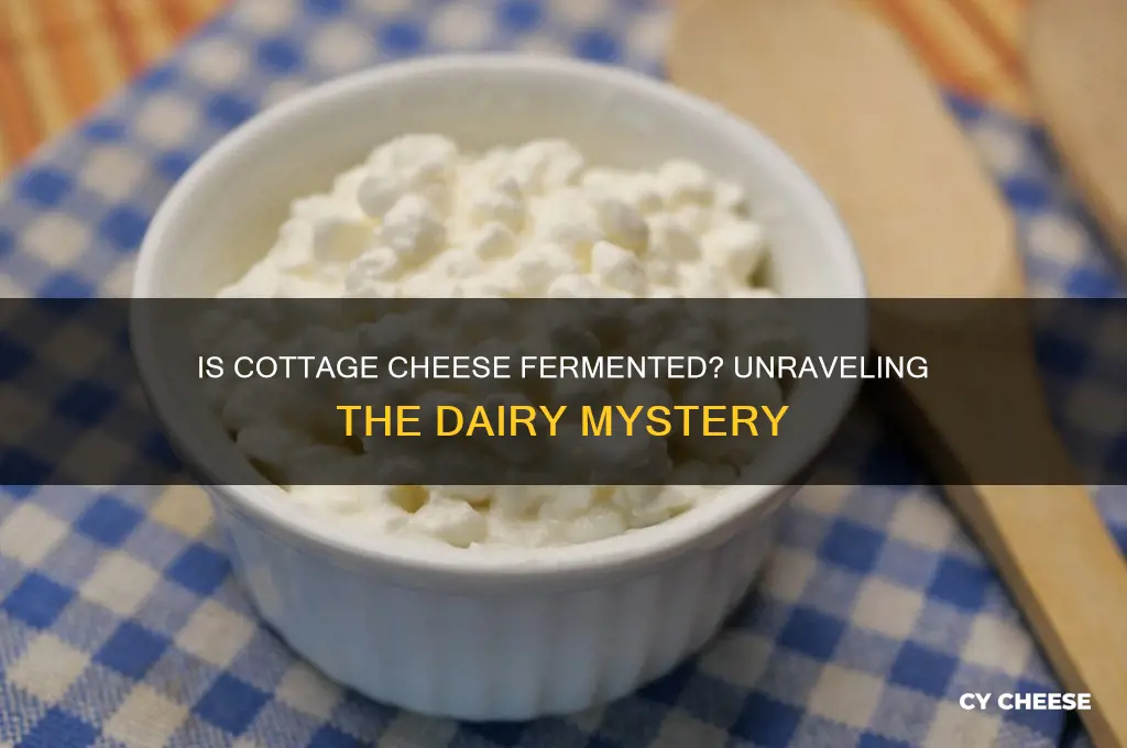 is cottage cheese fermented
