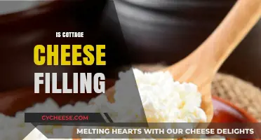 Is Cottage Cheese Filling? Exploring Its Satiety and Nutritional Benefits