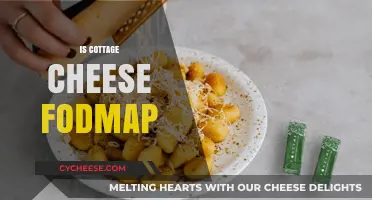 Is Cottage Cheese FODMAP-Friendly? A Dietary Guide for IBS Sufferers