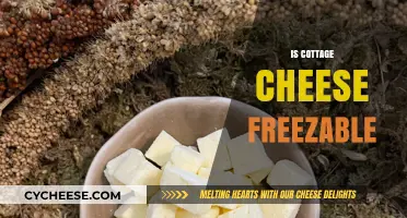 Can You Freeze Cottage Cheese? A Complete Guide to Storage