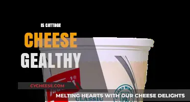 Is Cottage Cheese Healthy? Nutrition Facts and Benefits Explained