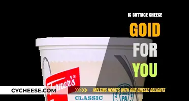 Is Cottage Cheese Healthy? Nutrition Benefits and Potential Drawbacks