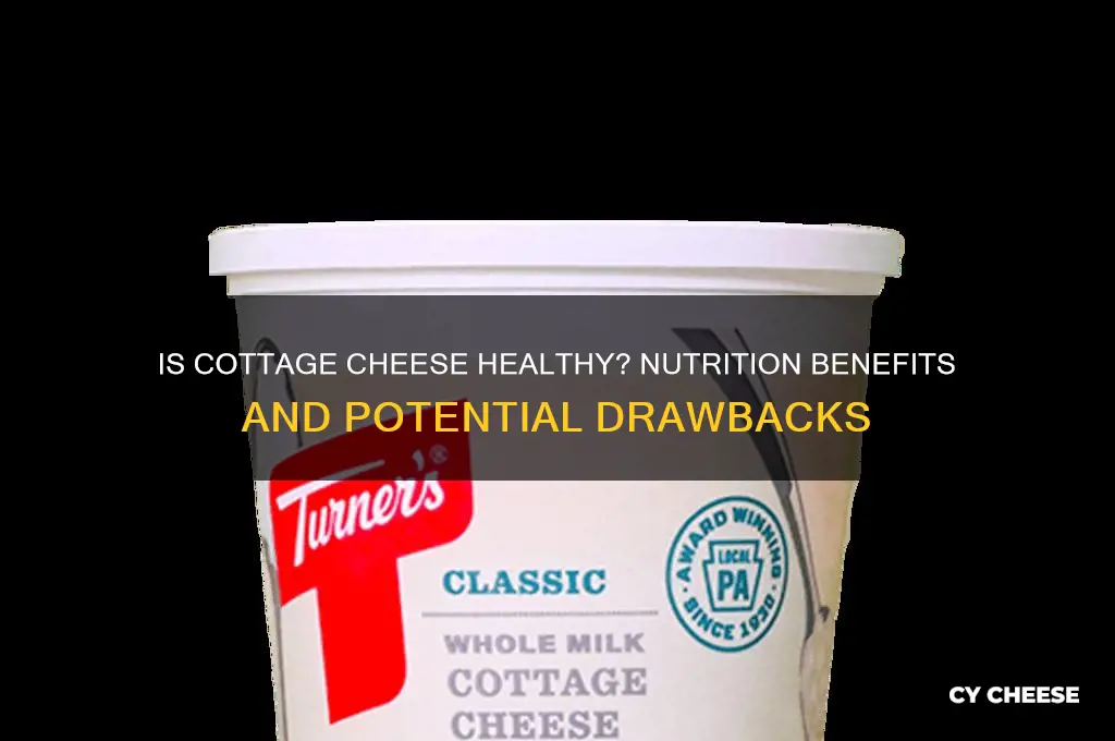 is cottage cheese goid for you