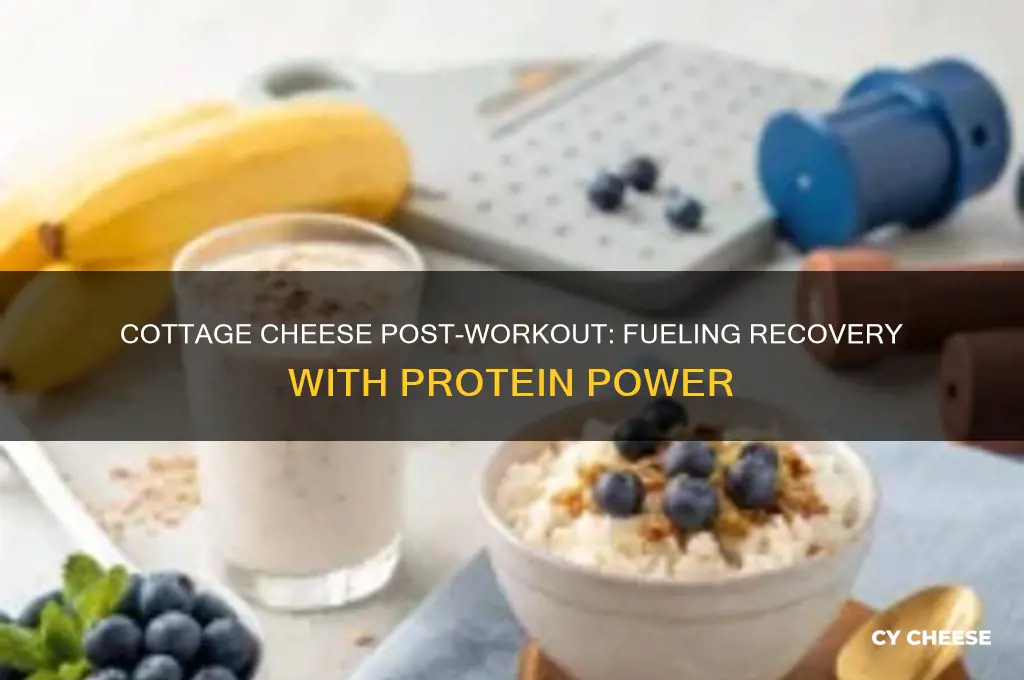 is cottage cheese good after a workout