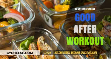 Cottage Cheese Post-Workout: Fueling Recovery and Muscle Growth Effectively