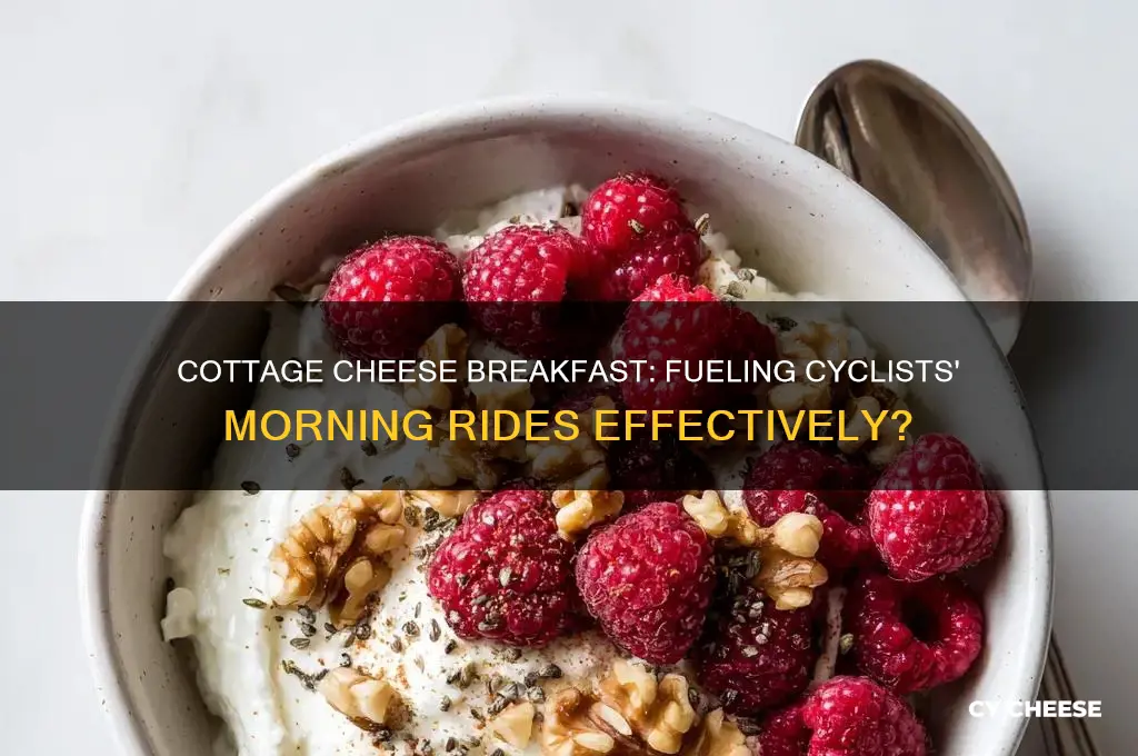 is cottage cheese good breakfast for cyclist