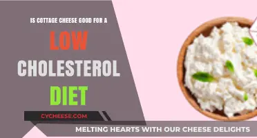 Cottage Cheese and Cholesterol: A Heart-Healthy Diet Essential?