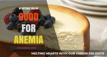 Cottage Cheese and Anemia: A Nutritional Boost or Myth?
