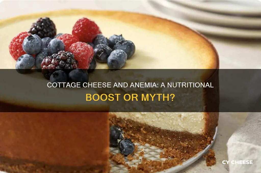 is cottage cheese good for anemia