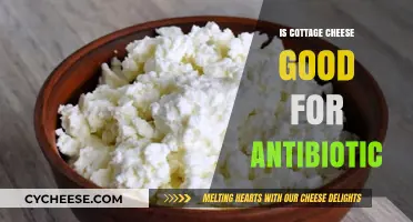 Cottage Cheese and Antibiotics: A Healthy Pairing or Not?