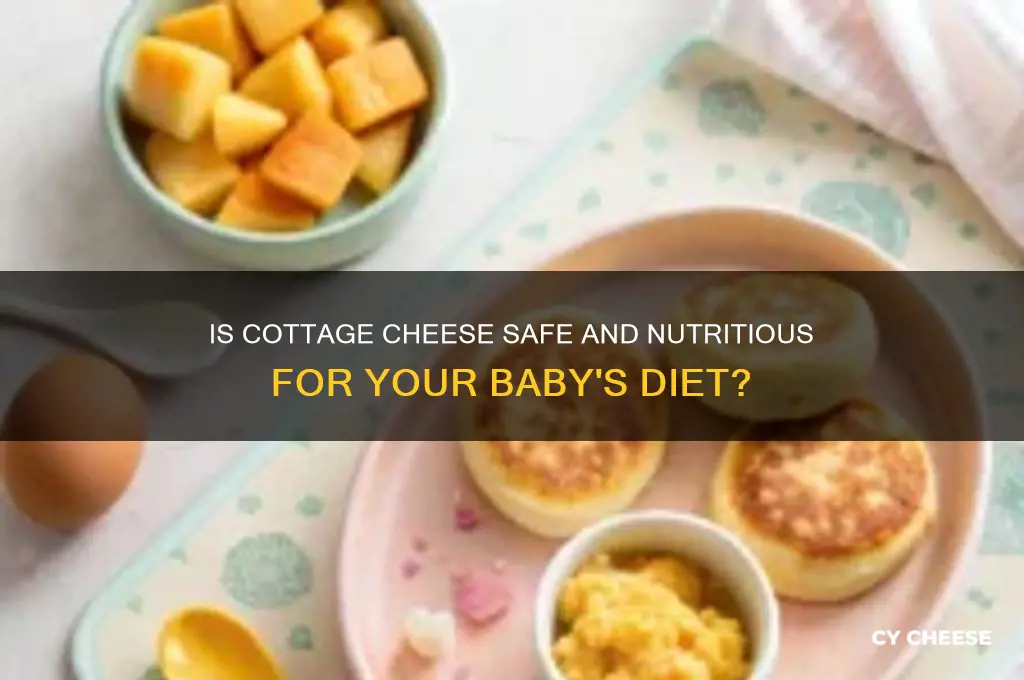 is cottage cheese good for baby