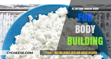 Cottage Cheese for Bodybuilding: Benefits, Nutrition, and Muscle Growth