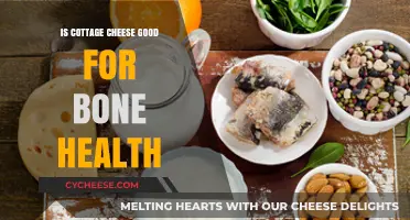 Cottage Cheese and Bone Health: Benefits, Nutrients, and Facts