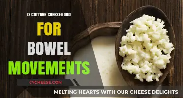 Cottage Cheese and Digestion: Boosting Bowel Movements Naturally