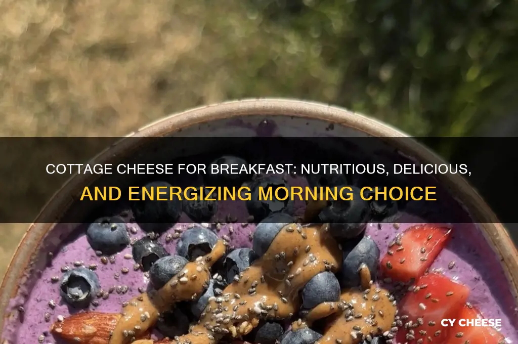 is cottage cheese good for breakfast