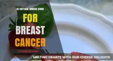 Cottage Cheese and Breast Cancer: Unraveling the Nutritional Benefits