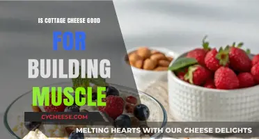 Cottage Cheese Muscle Benefits: A Protein-Packed Food for Growth?