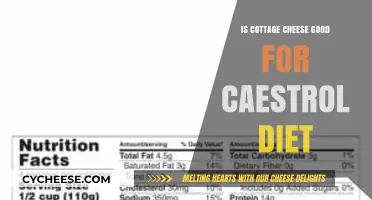 Cottage Cheese and Cholesterol: A Heart-Healthy Diet Essential?