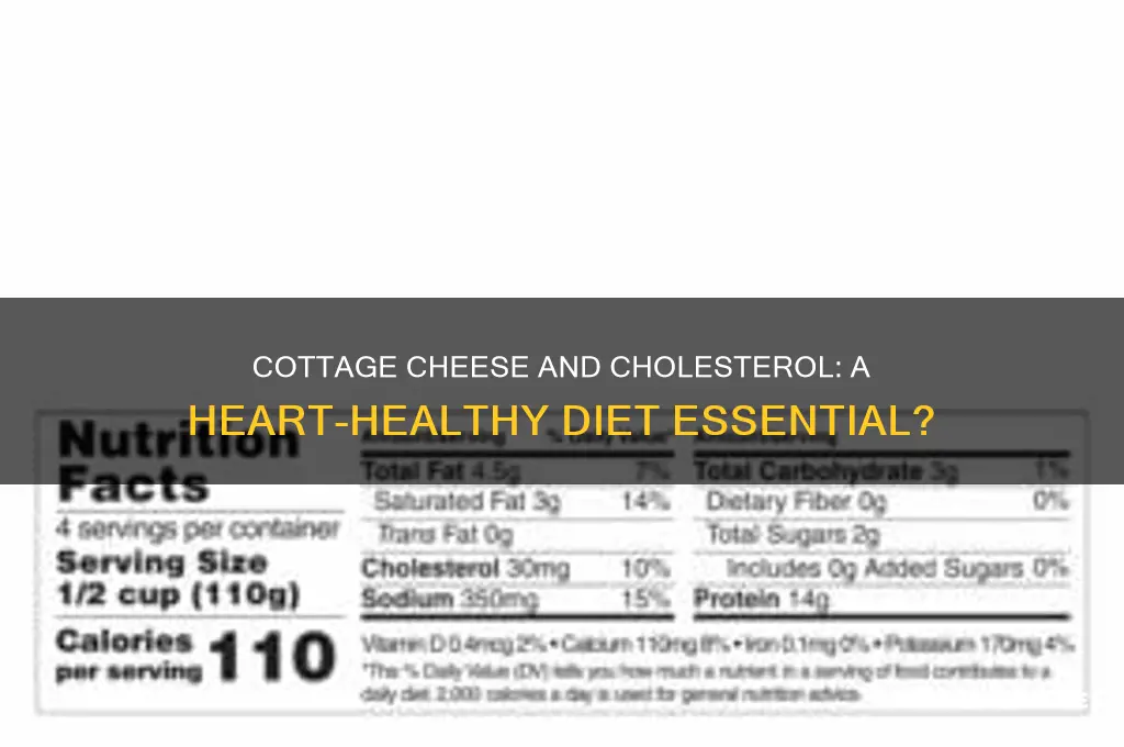 is cottage cheese good for caestrol diet