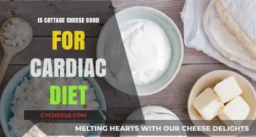 Cottage Cheese and Heart Health: A Cardiac Diet Essential?