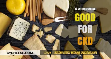 Cottage Cheese and CKD: A Kidney-Friendly Diet Choice?