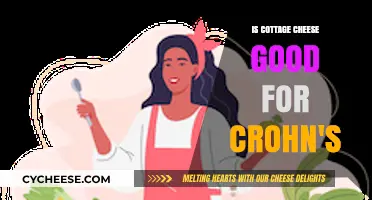 Cottage Cheese and Crohn's: A Gut-Friendly Food Choice?
