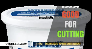 Is Cottage Cheese a Cutting-Phase Superfood? Nutrition Facts Revealed