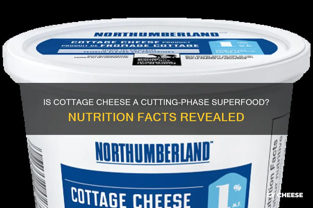 is cottage cheese good for cutting