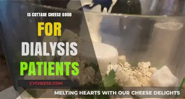 Cottage Cheese and Dialysis: Benefits, Risks, and Dietary Tips